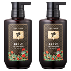 댕기머리 오리지널 들애수 샴푸액, 500ml, 2개