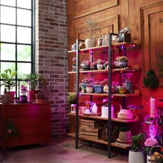 簡易安裝LED植物燈 3m, 混合顏色