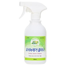 GREENONE 요석녹 제거 클리너, 1개, 300ml