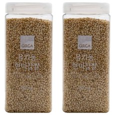 올가홀푸드 유기농 현미찹쌀, 800g, 2개