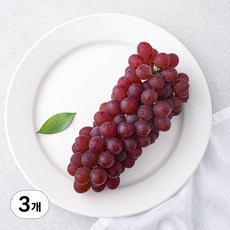 곰곰 고당도 델라웨어 포도, 200g, 3개