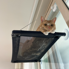 Samplemall 貓咪窗邊吊床, 黑色, 1個