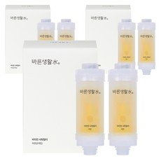 바른생활수 비타민 샤워필터, 6개, 레몬