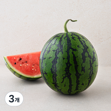 모두유통 한반도 당도선별 겨울 수박, 4kg 미만, 3개