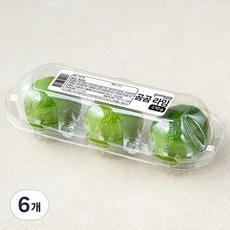 곰곰 라임, 210g, 6개