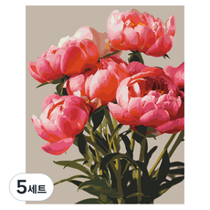 플레이어바웃 DIY 유화 그림그리기 세트 40 x 50 cm, 다섯 송이 목단(MG239), 5세트