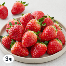 충남오감 무농약 인증 논산 친환경 설향 딸기 중과, 500g, 3개