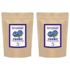 견과공장 건블루베리, 500g, 2개