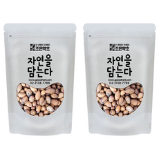 조은약초 자연을 담는다 프리미엄 비자열매, 300g, 2개