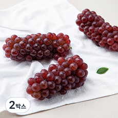 산지직송 아주마 GAP 인증 고당도 델라웨어 포도, 500g, 2박스