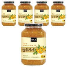 NOKCHAWON 綠茶園 蜂蜜柚子茶 含有豐富果肉 口感飽滿 適合冷沖或熱泡, 1kg, 1入, 5罐