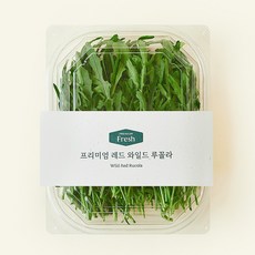 프리미엄 레드 와일드루꼴라, 50g, 1개