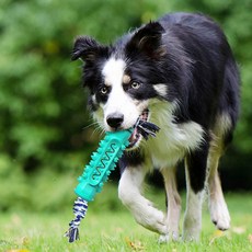 Welluv 高級狗多用途牙刷玩具 150 x 50 毫米 WL-1100, 薄荷藍, 1個