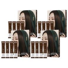 제이숲 리아비책 한방 물염색제 4p, 다크 브라운, 4개