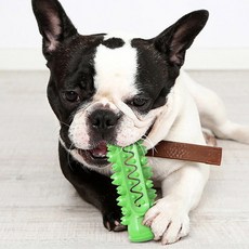 Well Love優質寵物犬牙刷玩具 WL-1084, 綠色, 1個