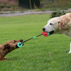 Well Love優質狗狗手持牙刷玩具 WL-1092, 混色, 1個