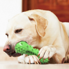 Welluv 高級狗狗多功能牙刷玩具 WL-1098, 綠色, 1個