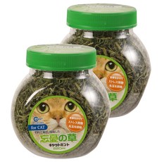 Canary 貓的薄荷草 22g C-S420 正午嫩採, 貓薄荷, 2個