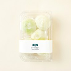 프리미엄 깐양파, 1kg, 1개