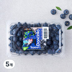 칠레산 블루베리, 310g, 5개