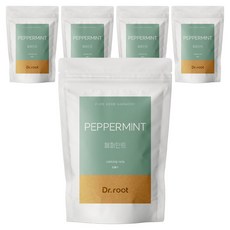 닥터루트 페퍼민트 삼각티백, 1.2g, 25개입, 5개