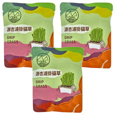 源杏 濾掛貓草, 10g, 3包, 貓草