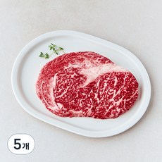 건화 한우 1++등급(9) 숙성등심 구이용 (냉장), 200g, 5개