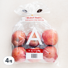 셀렉트팜 GAP 인증 A 사과, 1kg(소과, 6입), 4개