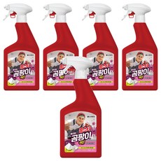 홈스타 뿌리는 곰팡이 싹 세정제, 900ml, 5개