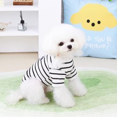 DING DONG PET 狗狗James熊短袖T恤, 黑色, 1個