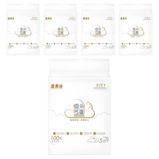 DEEPCLEAN 潔柔淨 雲朵 可濕式衛生紙 5層 100張, 20包, 5袋