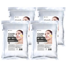 린제이 프리미엄 차콜 모델링팩 1kg, 1개입, 4개