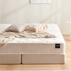 스칸디아 딥슬립 탄탄한 독립스프링 매트리스 방문설치, 220mm, 미디엄