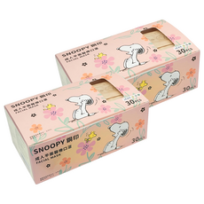 MITENXIN 天心生醫 史努比鋼印成人平面口罩, 茉杏花園 多色, 30片, 2盒