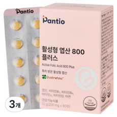 판티오 활성형 엽산 800 플러스 12g, 3개, 60정