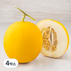 아주마 산지직송 고령 양구 메론, 1.3kg, 4박스