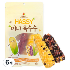 해씨 미니 옥수수 2p, 6개, 240g