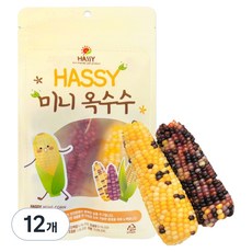 해씨 미니 옥수수 2p, 12개, 60g