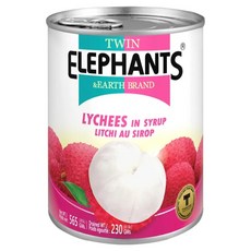 TWIN ELEPHANTS 雙象地球牌 荔枝罐, 565g, 1罐