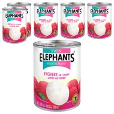 TWIN ELEPHANTS 雙象地球牌 糖水荔枝罐, 565g, 6罐