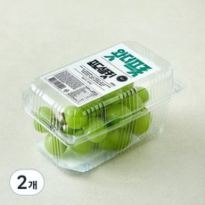 왓더프룻 포도쉐킷 망고, 2개, 450g