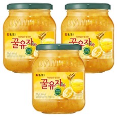 담터 꿀유자차, 770g, 3개, 1개입