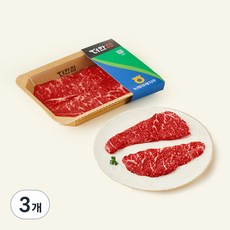 농협경제지주 더한점 채끝 1+등급 구이용 (냉장), 3개, 200g