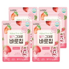 루솔 과일칩 딸기 그대로 바로칩, 12g, 4개