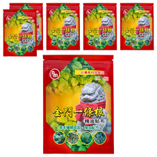 南美製藥 金門一條根精油貼布 植物萃取 舒緩放鬆, 7片, 6包