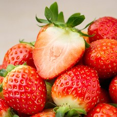 새벽경매 상큼한 장희딸기, 750g, 2팩