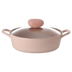 Neoflam 感應湯鍋 22cm, 220*295*70mm