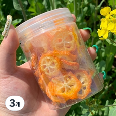 굿잇츠 금귤정과, 70g, 3개