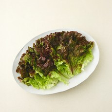 친환경 한끼 적상추, 1개, 80g