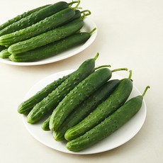 취청오이 5kg(20~28입)
